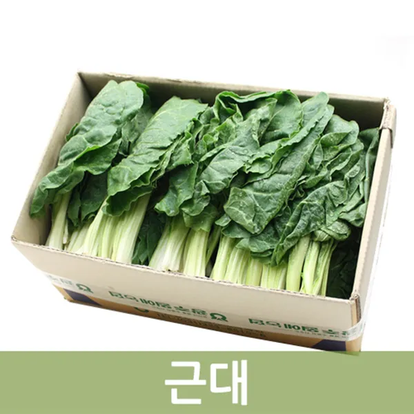 두리반농산 근대 4kg, 1박스