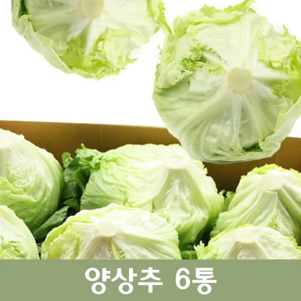 두리반농산 양상추 6통, 1박스