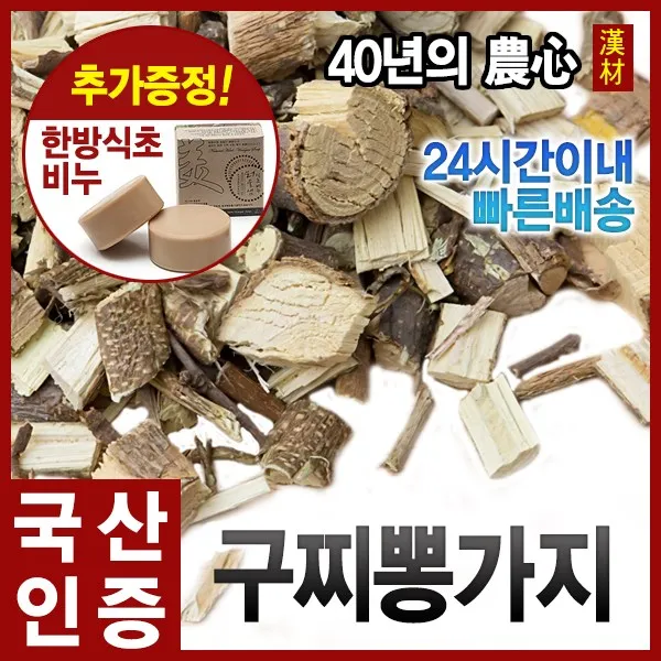자애인- 꾸지뽕뿌리1단 약250g 경북영천 국내산, 250g, 1개