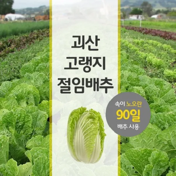 괴산절임배추, 20kg, 02월23일금도착, 문자주세요 010-9475-8700