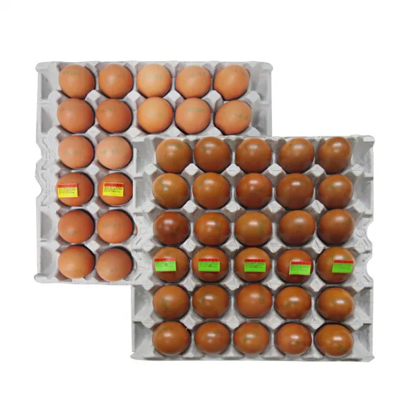 큰손 파인알구이, 05_구운계란 한판＋훈제계란 한판