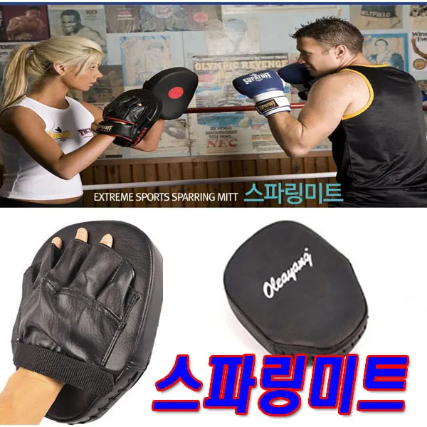 스파링 미트 이종격투기 태권도 합기도 종합무술 택견 다이어트
