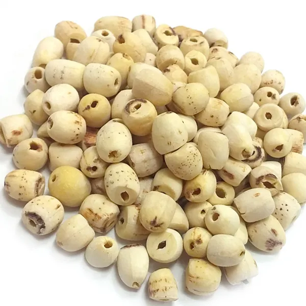 신영몰 A급 연자육(통) 2kg 깐연자육(통-반쪽) 베트남산, 깐 연자육(통) 1kgx2