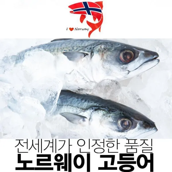 노르웨이고등어 청결하게 손질된 순살 냉동팩 간고등어, 1박스, 16)4KG내외 대형(140-160g내외) 24팩