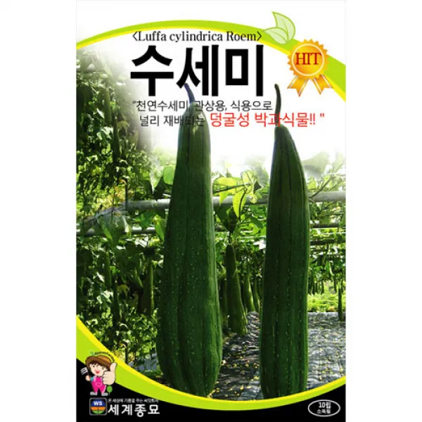 수세미 씨앗 수세미씨앗 재래종 ( loofah seed 10알)