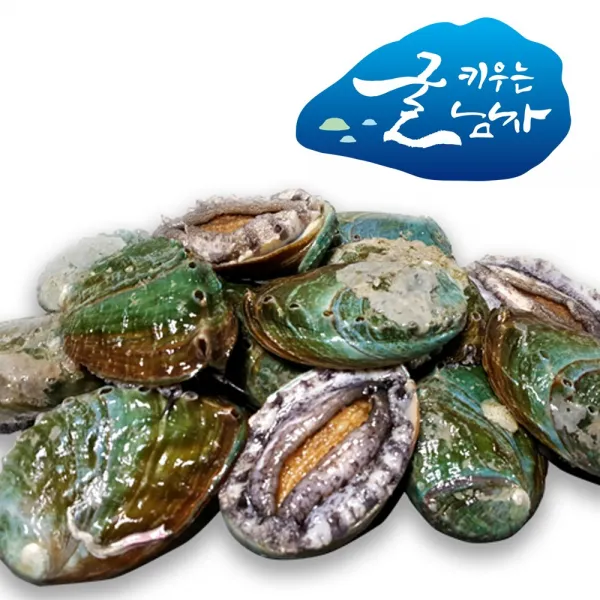 굴키우는 남자 산지직송 바다내음 가득 1box 참전복 中 500g
