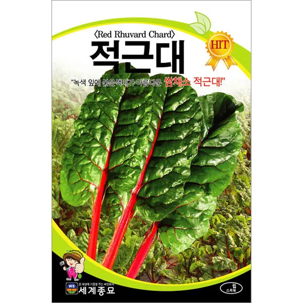 적근대씨앗 근대씨앗 근대 씨앗 ( chard seed 200알)