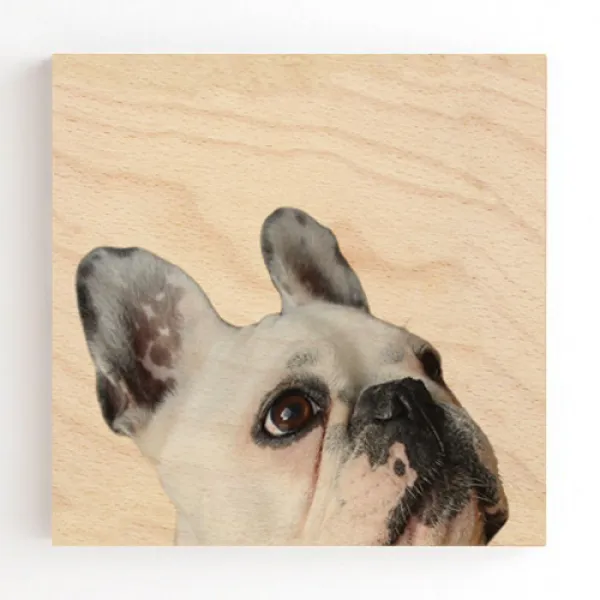 모두의팩토리 강아지 나무액자 애견 인테리어 벽걸이액자(주문제작도 가능), 강아지액자(bgX) TYPE 03 프렌치불독