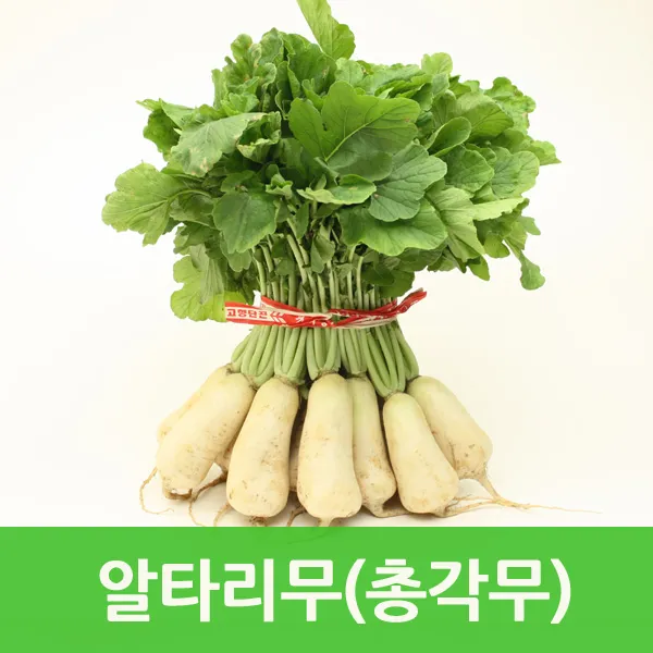 알타리무/ 깐알타리무 총각무 김치용 싱싱지오, 알타리무4kg내외