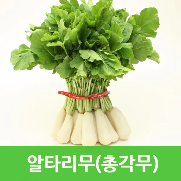 알타리무/ 깐알타리무 총각무 김치용 싱싱지오, 깐알타리무2kg내외