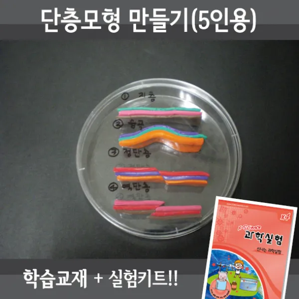 단층모형만들기(5인용재료+교재5권), 단품