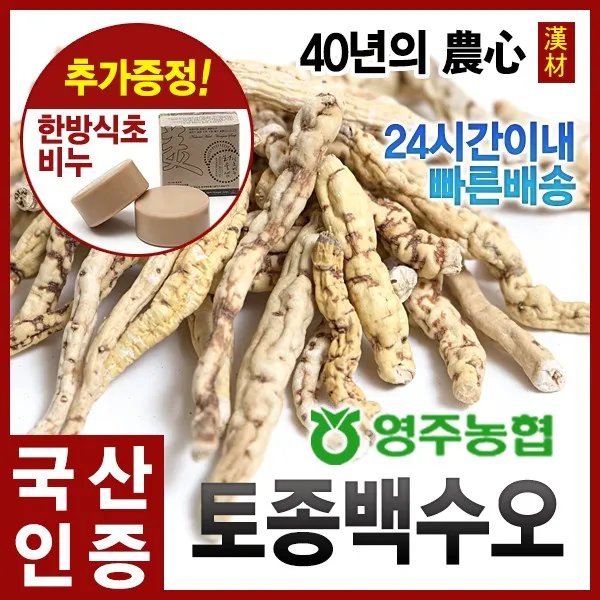 자애인 토종백하수오600g 백수오 영주농협 국내산 600g 1개