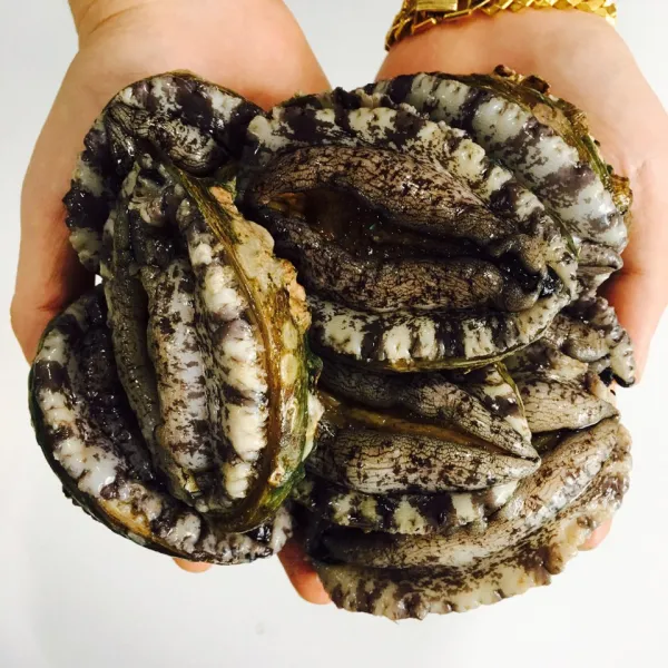 해를품은바다 완도 생일도 전복, 1박스, 1kg (8~9미)