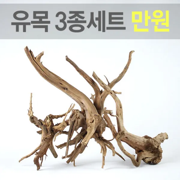안핑크 가지유목 3종세트 파격할인 (랜덤), 수량
