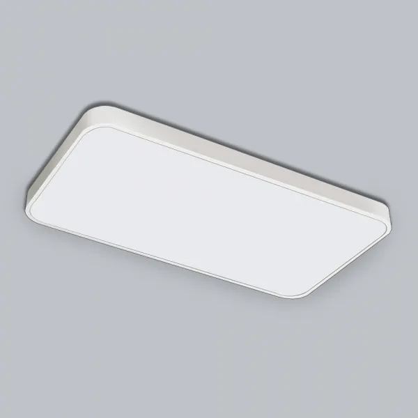 원하 LED거실등 시스템(2+2)100W 잔광제거 플리커프리 LG칩, 1-05_LED 심플 거실2등 60W 삼성칩-화이트