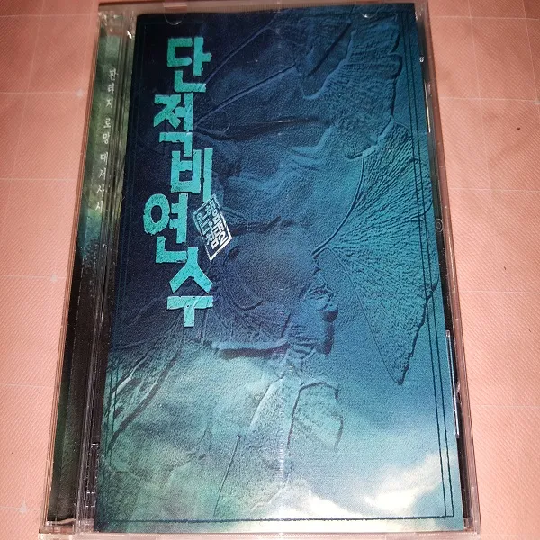 단적비연수 (은행나무침대 2)