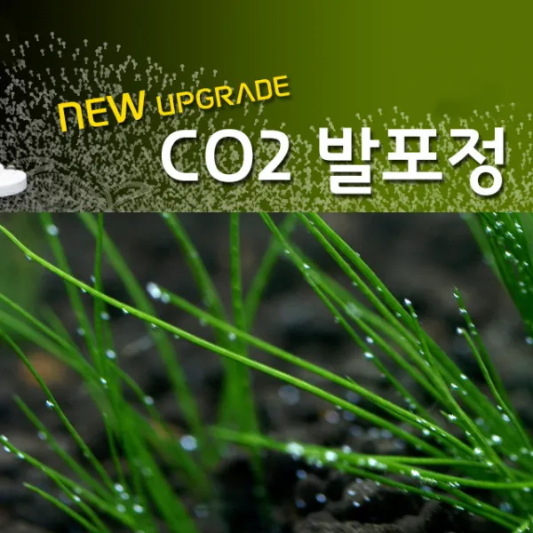 365수족관 수초 Co2 알약 36정, 1개