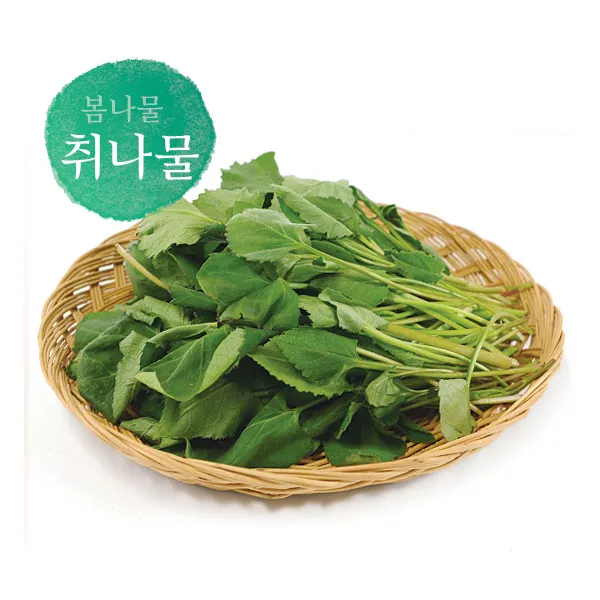 명가일품 살랑살랑봄나물 전라도 취나물 500g 단품