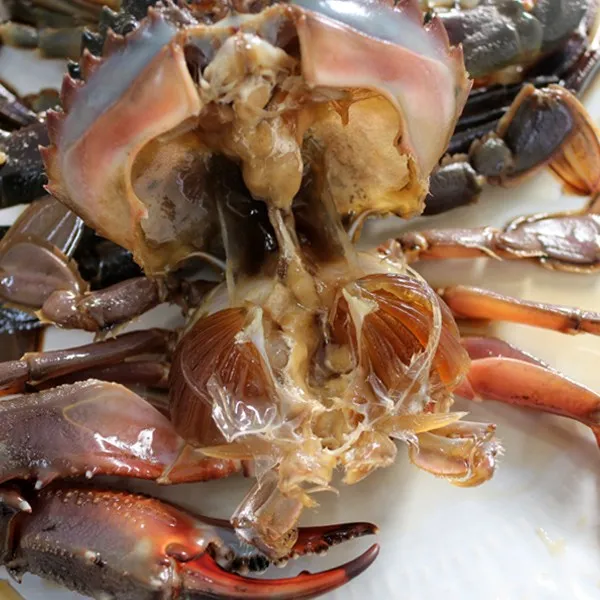 사그담 2대 비법으로 만든 돌게장(간장게장) 2.5kg, 단품