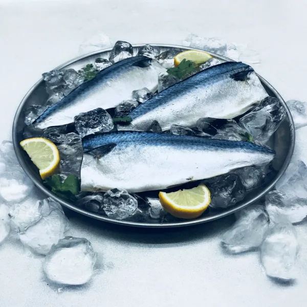 FISH42 부산 참고등어 A급 저염순살 80~200g 10/7/4팩, 고등어살(소) 80~100g 10팩, 800g