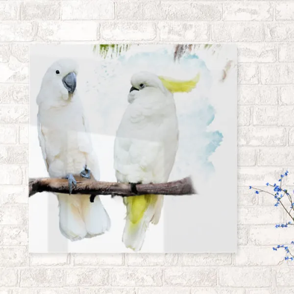 꾸밈 Ca057 아크릴액자한쌍의커플새 액자 2타입 앵무새2