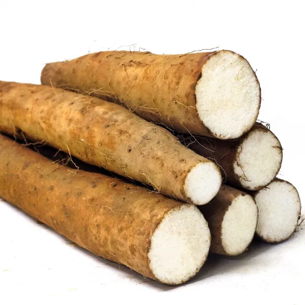 마캐는젊은농부들 부용농산 장마 상품(단상), 1개, 2kg