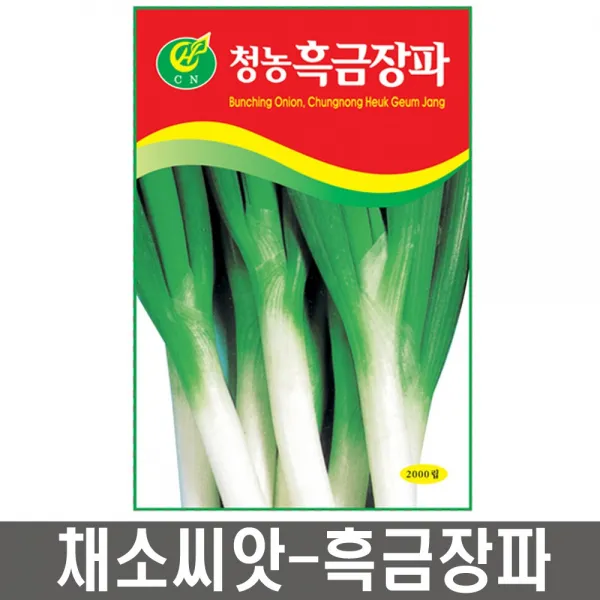 청농 흑금장파 2000립 인기있는 품종 농록색이 진하고 생육 왕성