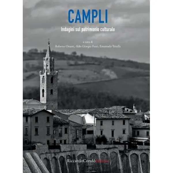 Campli: Indagini Sul Patrimonio Culturale Paperback, Riccardo Condo' Editore