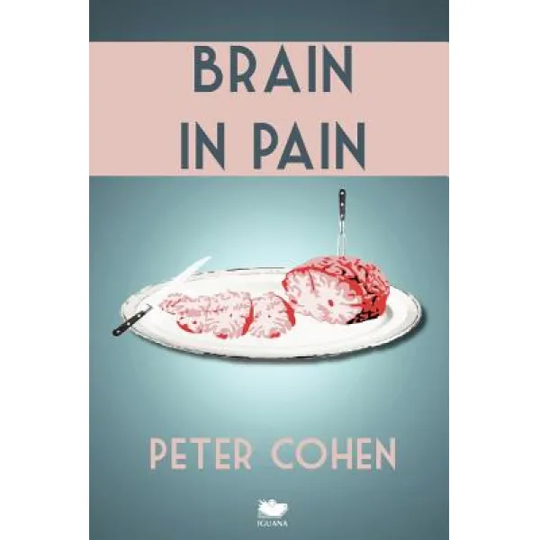 Brain in Pain: A Wounded Healer's Heart-Wrenching and Heart-Warming Guide to Schizophrenia Paperback, Iguana Books
