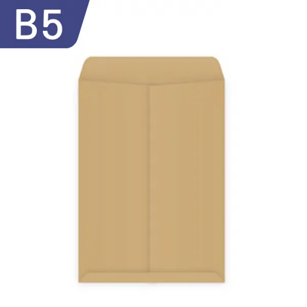엔토베토_문구마을 규격편지봉투(무지 인쇄) & 서류봉투A4 B4 B5 모음, 1매, B5 서류봉투 (무지)