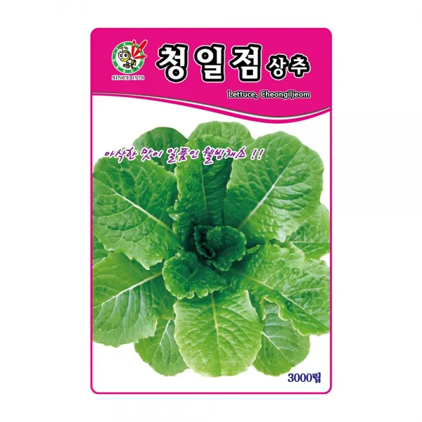 제일종묘 상추씨앗 청일점상추 3000립