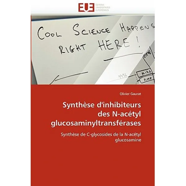 Synthese D''Inhibiteurs Des N-Acetyl Glucosaminyltransferases = Syntha]se D''Inhibiteurs Des N-ACA(C)T..., Univ Europeenne