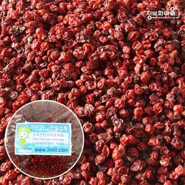 (인빌푸드)소백산 오미자 500g, 단품