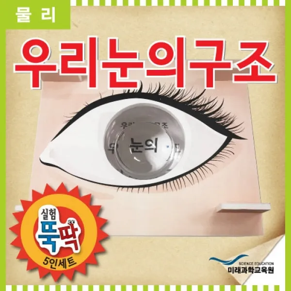 영재발명단 초등학생실험놀이 실험뚝딱 우리눈의구조 5인세트 실험놀이