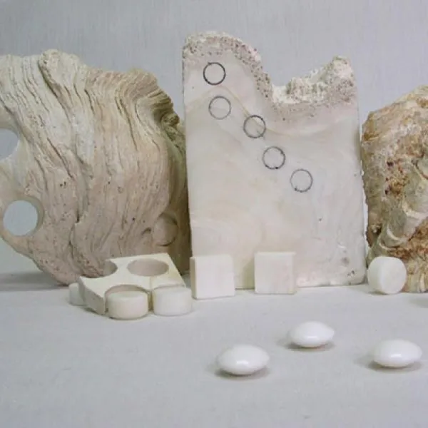 [AAU_4962751] 육형제바둑 왕대합기석40호 바둑 바둑게임소품 바둑판돌 바둑소품 게임소품