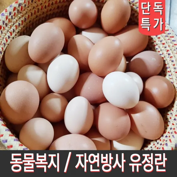 경북 봉화 가나안 하르골농원 명품 유정란 40구, 1박스