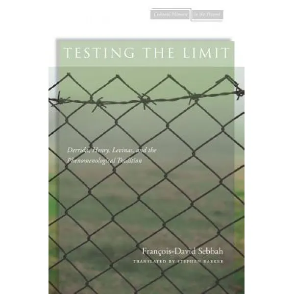 Testing the Limit: Derrida Henry Levinas and the Phenomenological Tradition Paperback, Stanford University Press