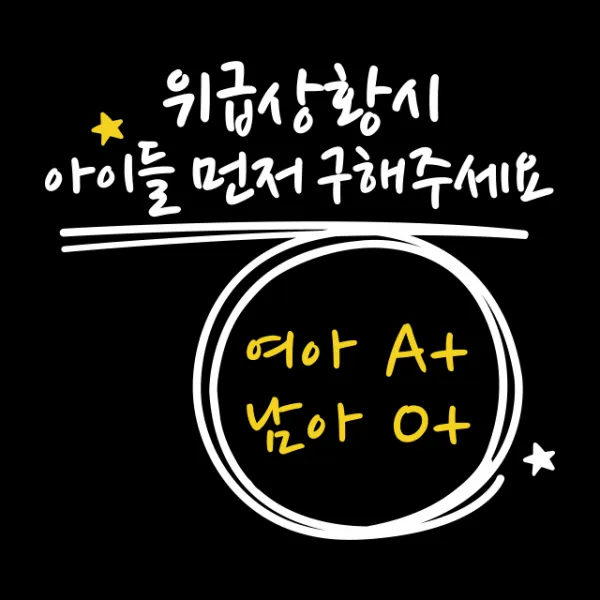 루키마켓 위급상황시 아이먼저 구해주세요 차량용스티커, 04.위급 캘리형 (혼합색상_반사), 1개