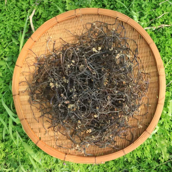 백운농원 국내산 무농약 건고사리 100g 1박스, 1box, 모악산 자연산 건고사리100g