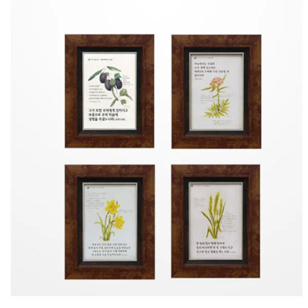 위드지저스 성서식물 시리즈 6종 택1 쥬빌리아이 성경말씀액자 새신자선물 심방 전도 액자 0705b 창포