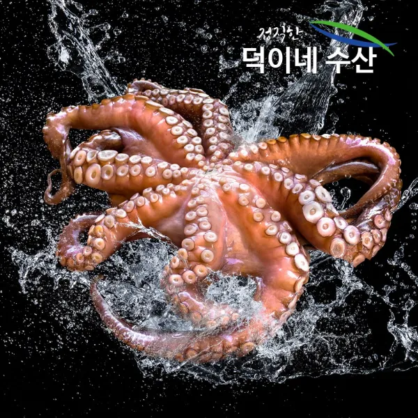 100% 국내산 남해안 싱싱 문어 500G 특가판매, 1개, 1K
