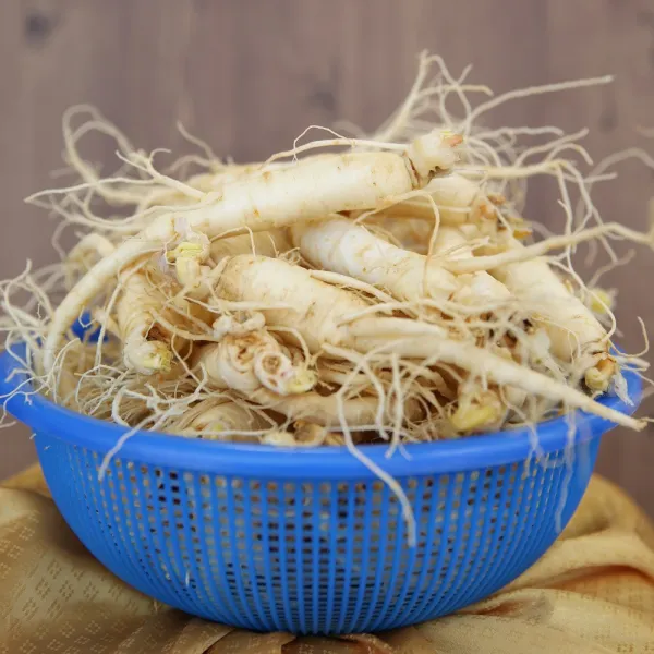 우리네농산물 금산부자인삼 세척삼 수삼 인삼, 1개, 600g(난발파삼)