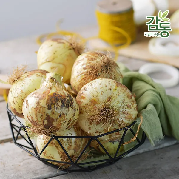[감동] 2020년 햇 양파, 1개, 5kg 특크기(요리용)