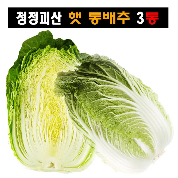 [모단농장] 속이 꽉찬 배추3~4포기 1망 산지직송_5월11일 첫수확발송, 3통