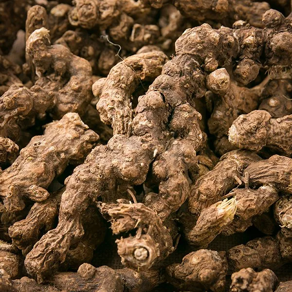 삽주뿌리(창출) 600g 수입산 수입 약초 삽주뿌리 창출, 133I_삽주뿌리(창출) 600g