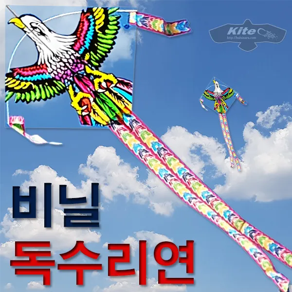불의나라 위풍당당 독수리 연