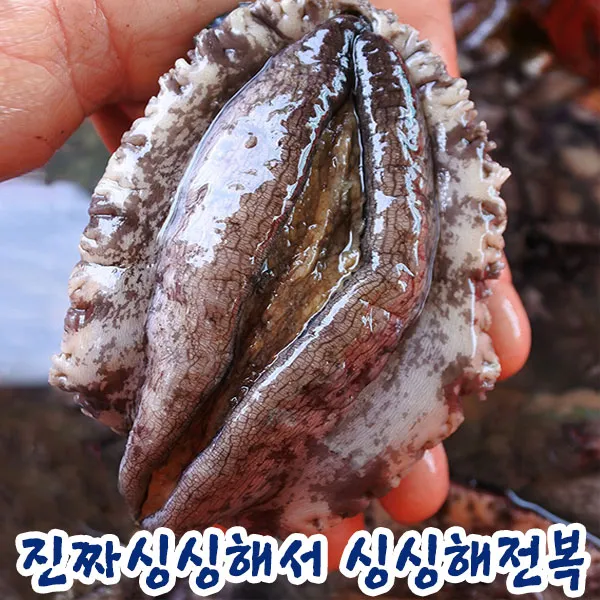싱싱해 완도전복 생산자직송1kg 10-11미, 1box, 전복10-11미 1kg