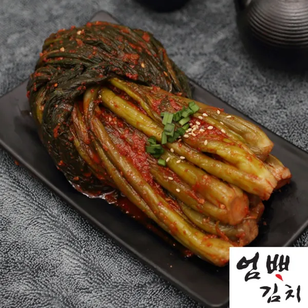 엄빠김치 성현물산 햇채원 전라도 갓김치 3kg, 1개