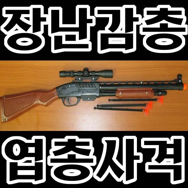 드림하우스 엽총다트건, 색상은선택불가임의배송합니다