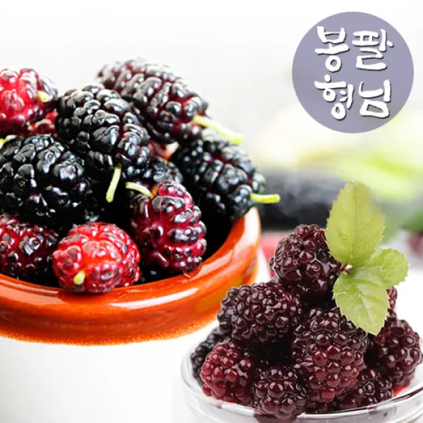 봉팔형님 햇오디 블랙베리(복분자), 1box, 봉팔형님 블랙베리 5kg(1.25kg*4)개별포장